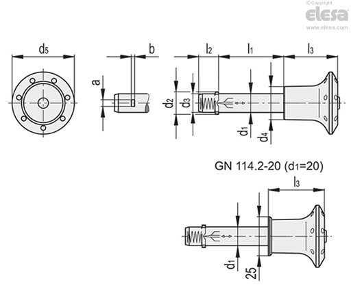 GN 114.2 | Lock pins | Elesa